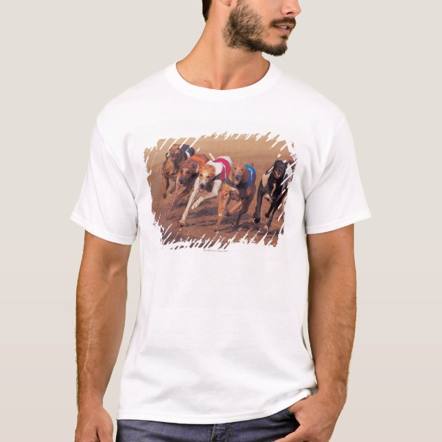 Windhundlaufen auf Bahn T-Shirt (Vorderseite)