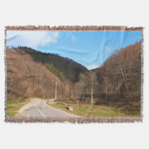 Windinge Straße durch den Wald – Wilde Natur Rumän Decke