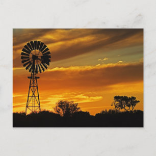 Windmill und Sunset, William Creek, Oodnadatta Postkarte