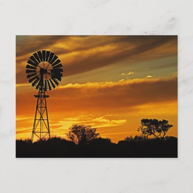 Windmill und Sunset, William Creek, Oodnadatta Postkarte (Vorderseite)