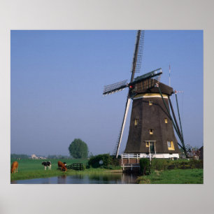 Windmills, Leidschendam, Niederlande Poster