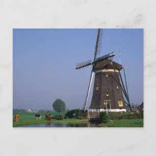 Windmills, Leidschendam, Niederlande Postkarte