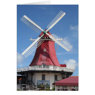 Windmühle Aruba
