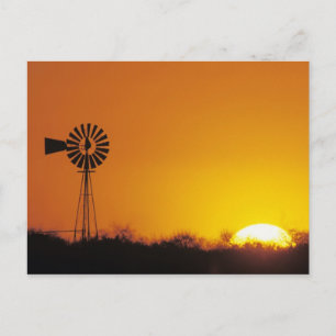 Windmühle bei Sonnenuntergang, Sinton, Texas, USA Postkarte