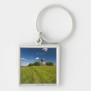 Windmühle in Mikhailovskoye Schlüsselanhänger