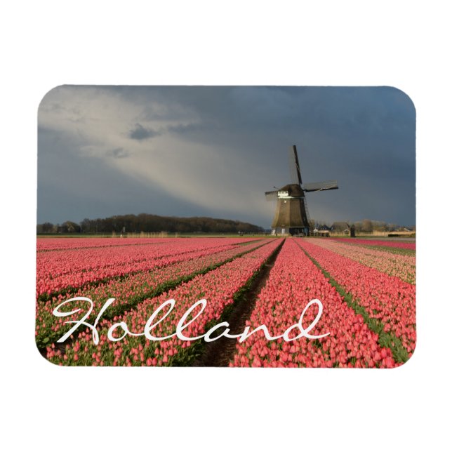Windmühle mit rosa Tulpen im Frühjahr Magnet (Horizontal)