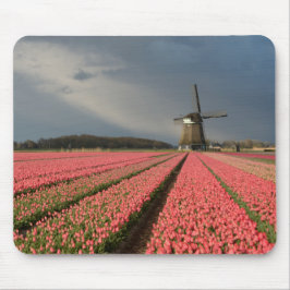 Windmühle mit rosa Tulpen im Frühjahr Mousepad