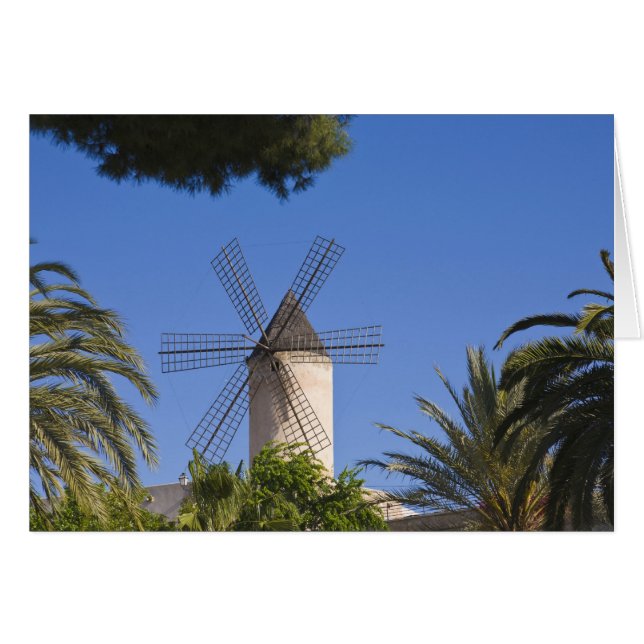 Windmühle, Palma, Mallorca, Spanien (Vorderseite (Horizontal))