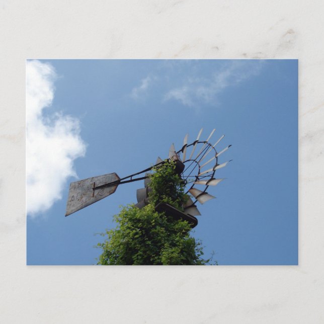 Windmühle Postkarte (Vorderseite)