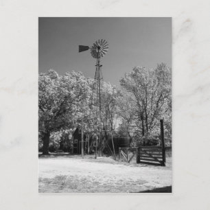 Windmühle Postkarte