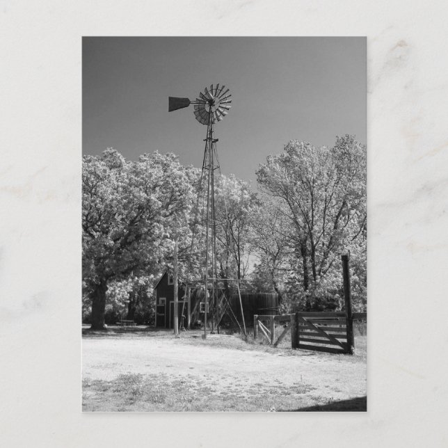 Windmühle Postkarte (Vorderseite)
