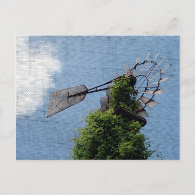 Windmühle Postkarte (Vorderseite)