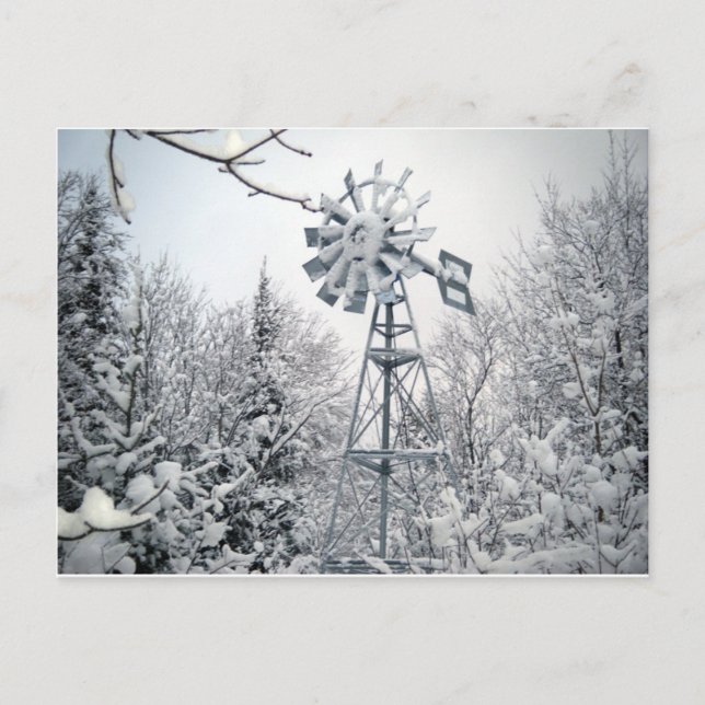 Windmühle und Bäume im Schnee bedeckt. Postkarte (Vorderseite)