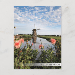 Windmühle und Blume in Leidschendam Postkarte