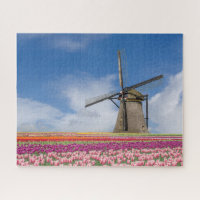 Windmühle und farbenfrohe Tulips Amsterdam Niederl