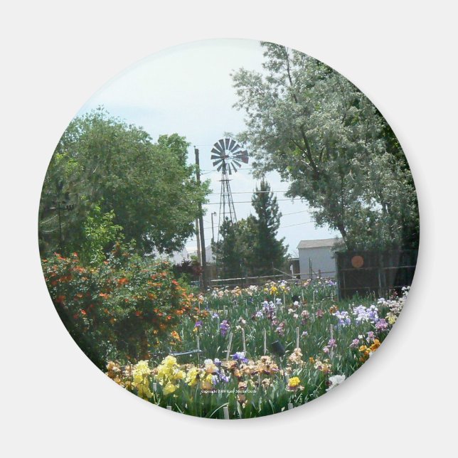 Windmühle und Iris Field Magnet (Vorne)