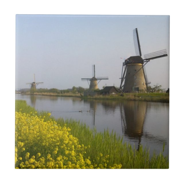 Windmühlen entlang des Kanals in Kinderdijk Fliese (Vorderseite)