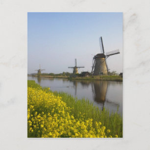 Windmühlen entlang des Kanals in Kinderdijk, Postkarte