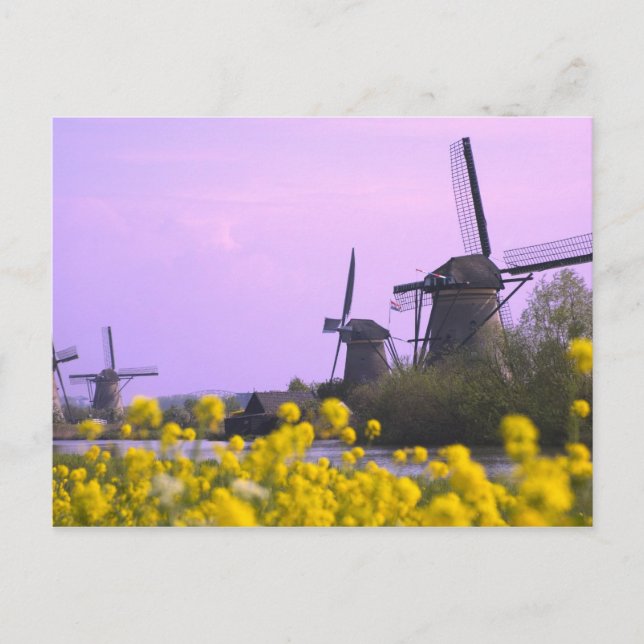 Windmühlen entlang des Kanals in Kinderdijk, Postkarte (Vorderseite)