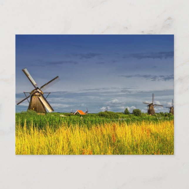 Windmühlen in Kinderdijk, Niederlande Postkarte (Vorderseite)