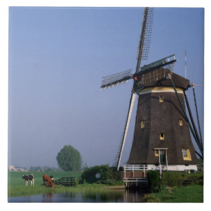 Windmühlen, Leidschendam, Niederlande Fliese