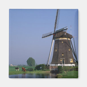 Windmühlen, Leidschendam, Niederlande Magnet