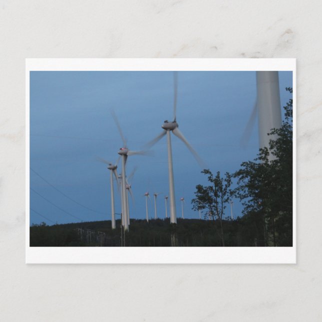 Windmühlen Postkarte (Vorderseite)