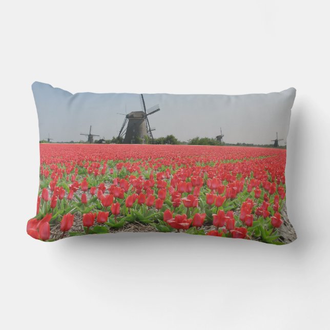 Windmühlen-rotes Tulpe-Feld Lendenkissen (Vorderseite)