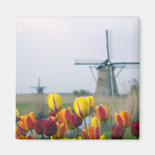 Windmühlen und Tulpen am Kanal in Magnet