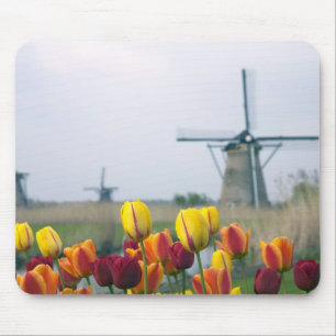 Windmühlen und Tulpen am Kanal in Mousepad
