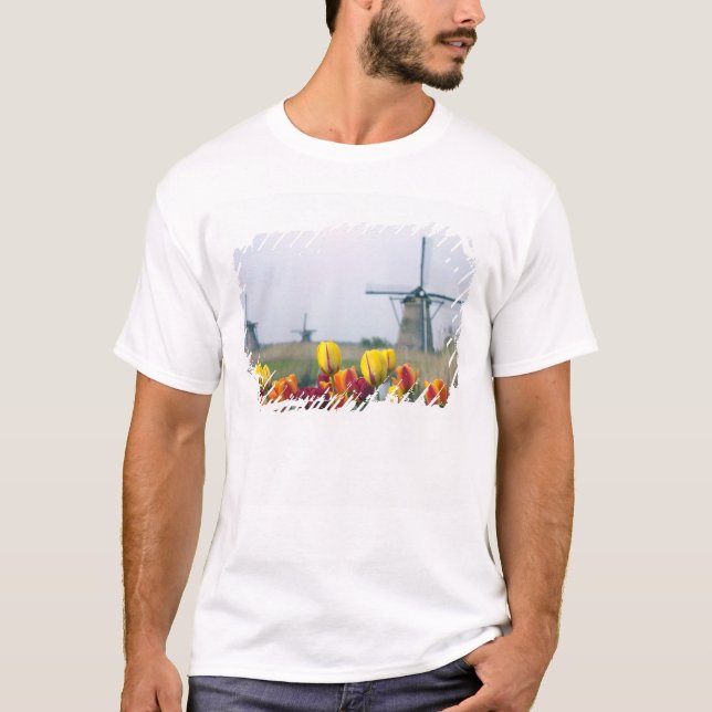 Windmühlen und Tulpen entlang des Kanals in T-Shirt (Vorderseite)