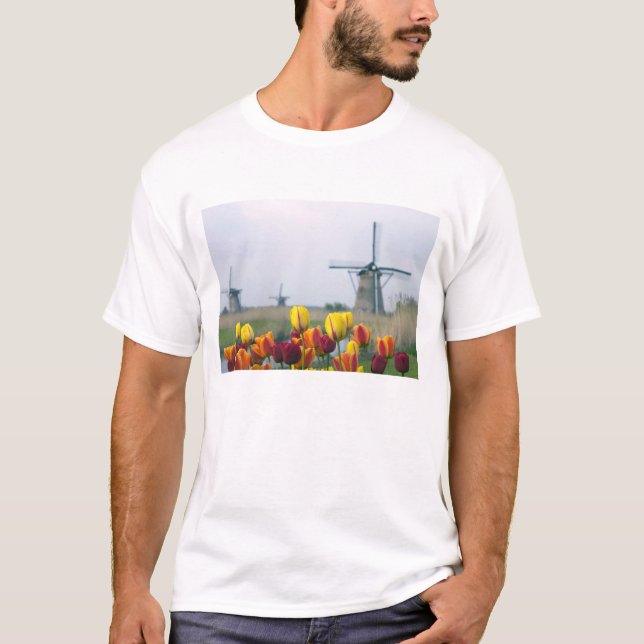 Windmühlen und Tulpen entlang des Kanals in T-Shirt (Vorderseite)