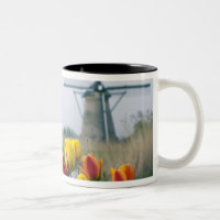 Windmühlen und Tulpen entlang des Kanals in