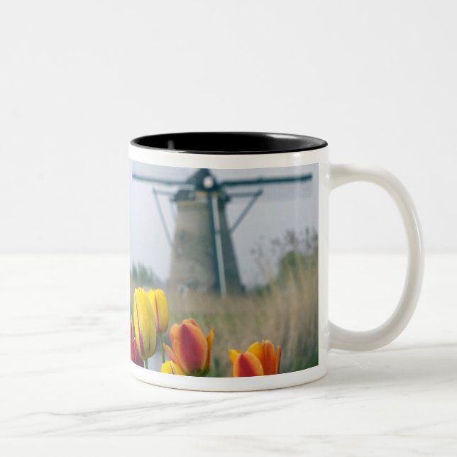 Windmühlen und Tulpen entlang des Kanals in Zweifarbige Tasse (Rechts)