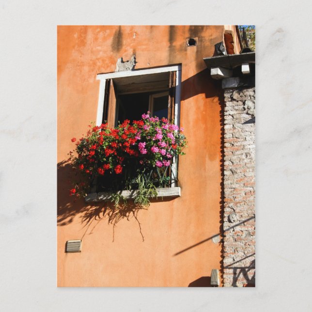 Window-Blume Postkarte (Vorderseite)