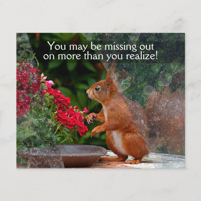 WINDOW CLEANING BUSINESS 4x5 Anpassbares PROMO Flyer (Vorne)