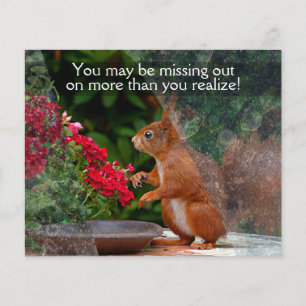 WINDOW CLEANING BUSINESS 4x5 Anpassbares PROMO Flyer