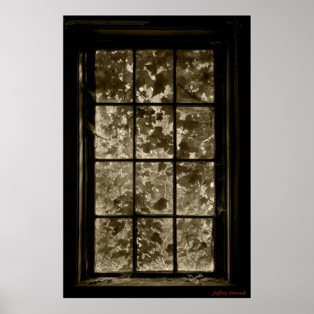 Window IV Sepia, Jeffrey Sinnock Poster (Vorne)