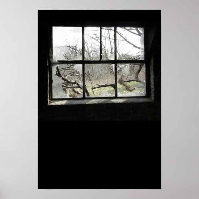 Window Watchin Poster (Vorne)