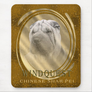 Windquest CSP Mousepad
