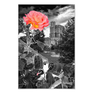 Windsor Castle Berkshire England Fotodruck