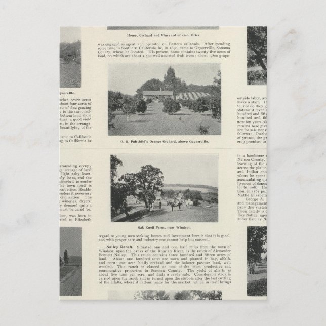 Windsor, Kalifornien Postkarte (Vorderseite)