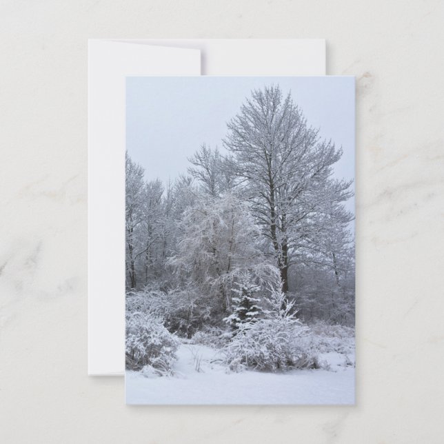 Windsor Winter White Christmas Einladung (Vorderseite)