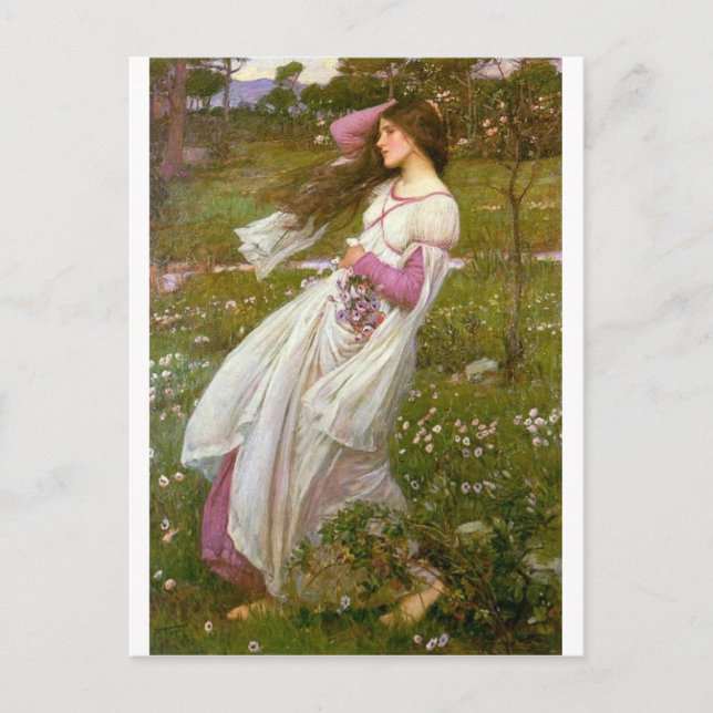 WindSwept Postkarte (Vorderseite)