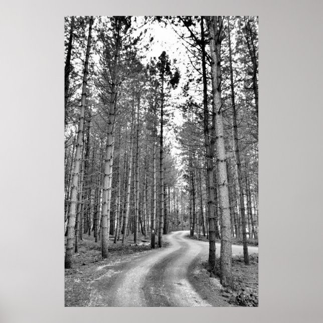 Windweg Poster (Vorne)