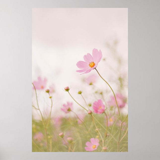 WINDY DAY POSTER (Vorne)