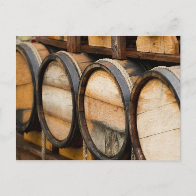 Wine Barrel Row Postkarte (Vorderseite)