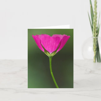 Winecup Wildblume Notecards Karte