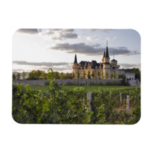 Winery-Gebäude vom Weinberg aus gesehen bei Magnet