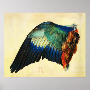 WING AN EUROPEAN ROLLER Durer Poster